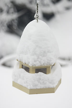 Bird house covered in snow