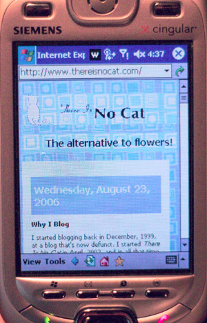 This web site as seen on a Windows Mobile 2003 device